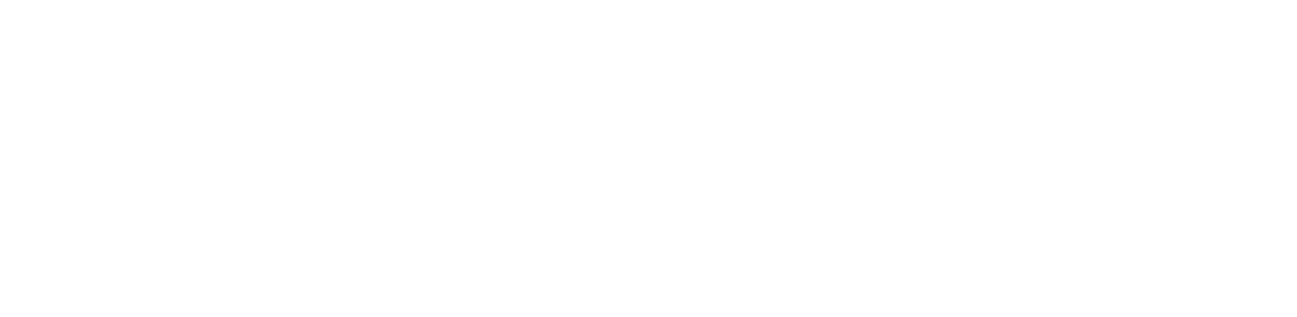 Panda IT